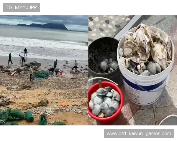 惠州赶海故事：台风带来的海鲜大礼，惠州赶海好去处